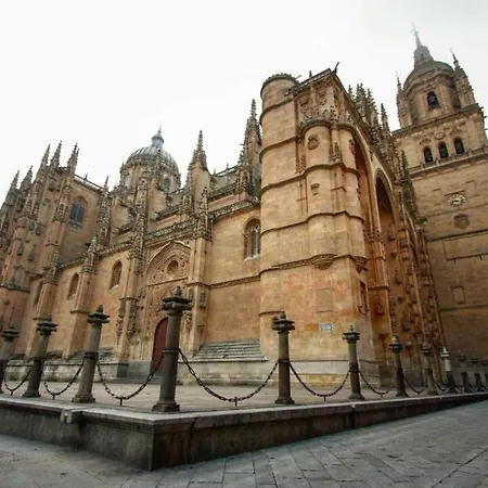 Avenida De Los Reyes De Espana Salamanca
